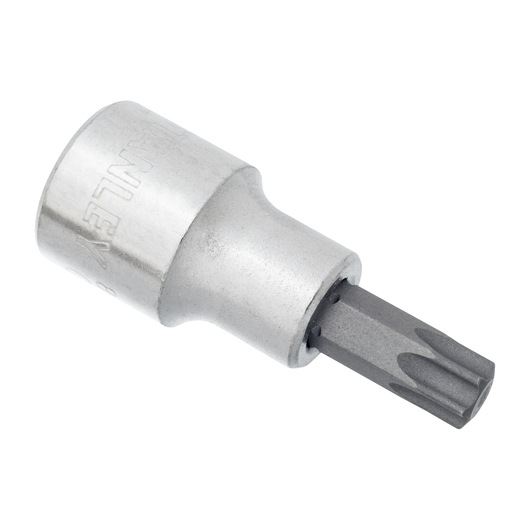 INDIVIDUAL SOCKET ON WHITE BACKGROUND SIDE VIEW